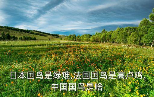 網(wǎng)岡綠雉足球