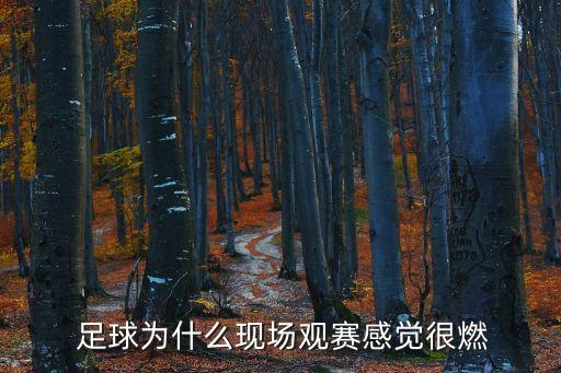  足球?yàn)槭裁船F(xiàn)場(chǎng)觀賽感覺很燃