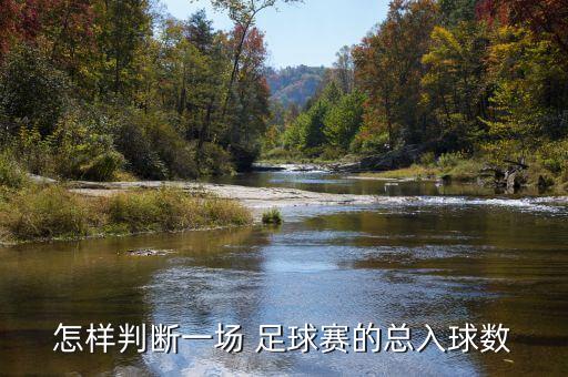足球單雙進(jìn)球判斷,足球雙半場(chǎng)進(jìn)球是什么意思
