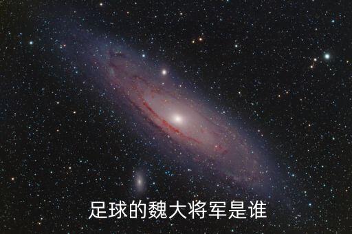 上海足球運動員93年,上海 足球運動員