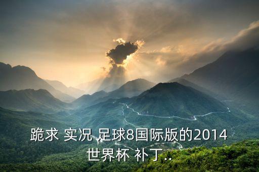 跪求 實(shí)況 足球8國(guó)際版的2014世界杯 補(bǔ)丁..