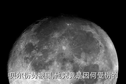 貝爾足球妻子