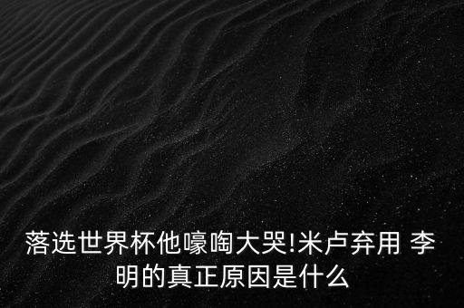 足球天才李明