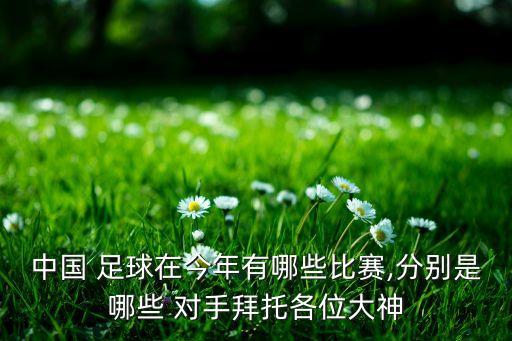 中國(guó) 足球在今年有哪些比賽,分別是哪些 對(duì)手拜托各位大神