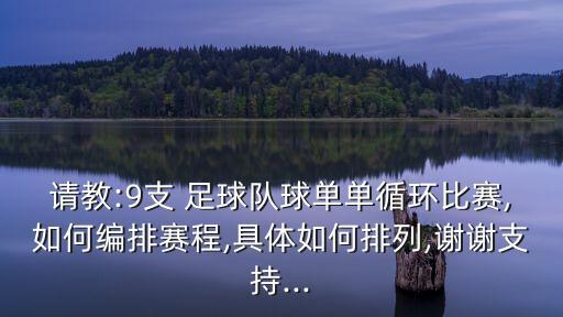 請(qǐng)教:9支 足球隊(duì)球單單循環(huán)比賽,如何編排賽程,具體如何排列,謝謝支持...