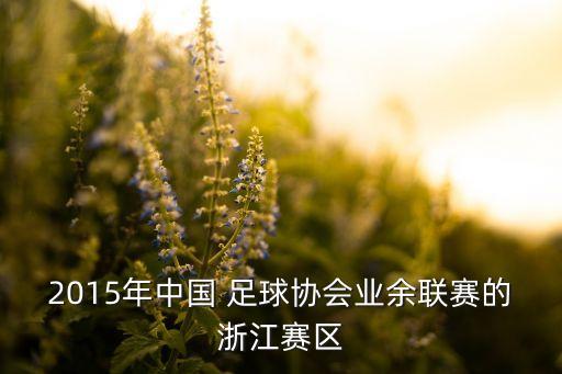 2015年中國 足球協(xié)會(huì )業(yè)余聯(lián)賽的浙江賽區