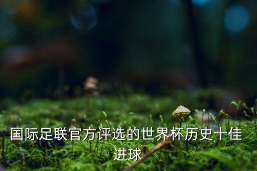 國(guó)際足聯(lián)官方評(píng)選的世界杯歷史十佳 進(jìn)球