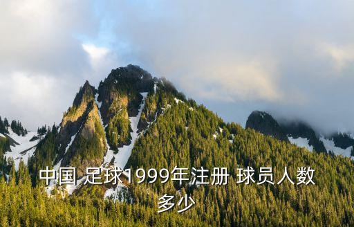 中國足球球員注冊