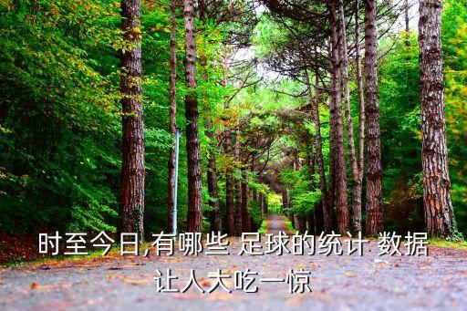 時至今日,有哪些 足球的統計 數據讓人大吃一驚