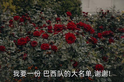我要一份 巴西隊的大名單,謝謝!