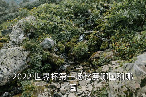 世界杯足球賽對陣,2022年世界杯足球賽對陣圖