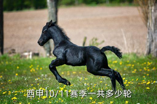  西甲10/11賽季一共多少輪