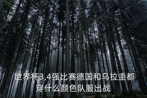  世界杯3,4強(qiáng)比賽德國(guó)和烏拉圭都穿什么顏色隊(duì)服出戰(zhàn)