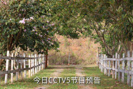 cctv5今日足球一周十佳球