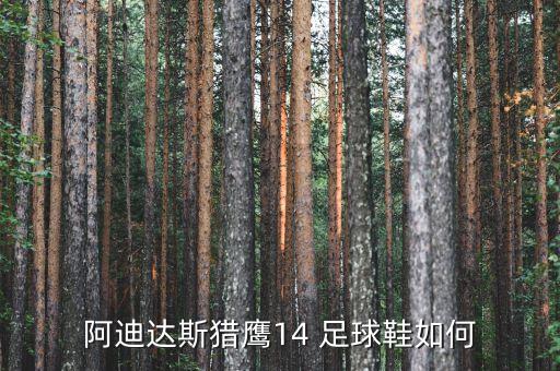 阿迪達(dá)斯獵鷹14 足球鞋如何
