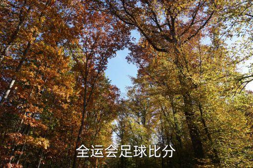 魯能全運(yùn)會(huì)足球比分