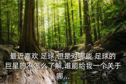 足球大師里貝里證明