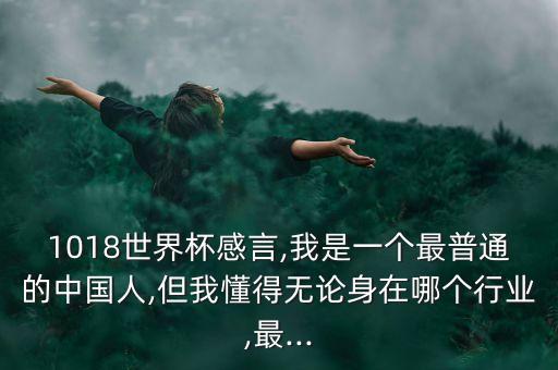 1018世界杯感言,我是一個最普通的中國人,但我懂得無論身在哪個行業(yè),最...