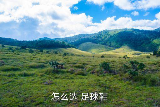 足球鞋 頂級 超頂級,彪馬足球鞋頂級和次頂級的區(qū)別