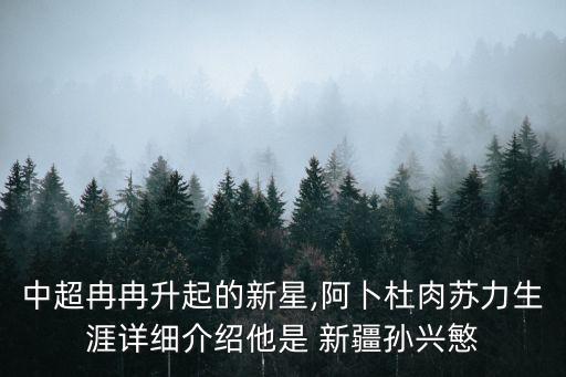 中超冉冉升起的新星,阿卜杜肉蘇力生涯詳細介紹他是 新疆孫興慜