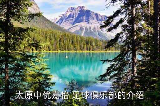 太原中優(yōu)嘉怡 足球俱樂(lè)部的介紹