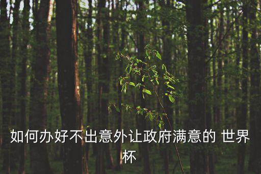 如何辦好不出意外讓政府滿意的 世界杯