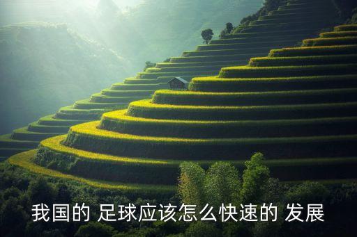 中國足球現(xiàn)狀及發(fā)展,淺談中國足球發(fā)展現(xiàn)狀及原因?qū)Σ? /></a><a href=