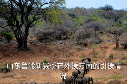 山東魯能足球俱樂(lè)部董事長(zhǎng),怎么進(jìn)山東魯能足球俱樂(lè)部