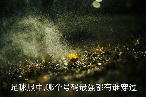 足球球衣號(hào)最好的,足球1號(hào)球衣的球星