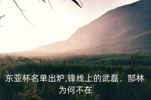 東亞杯名單出爐,鋒線上的武磊、郜林為何不在