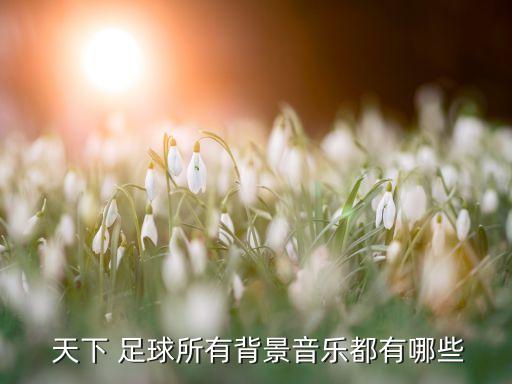  天下 足球所有背景音樂都有哪些
