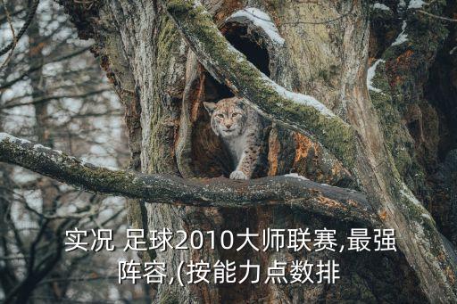  實(shí)況 足球2010大師聯(lián)賽,最強(qiáng)陣容,(按能力點(diǎn)數(shù)排