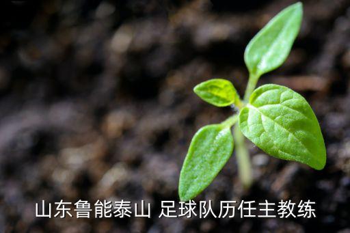 山東魯能泰山 足球隊(duì)歷任主教練
