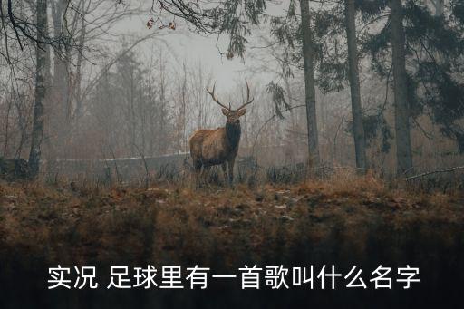實(shí)況足球2018原生音樂