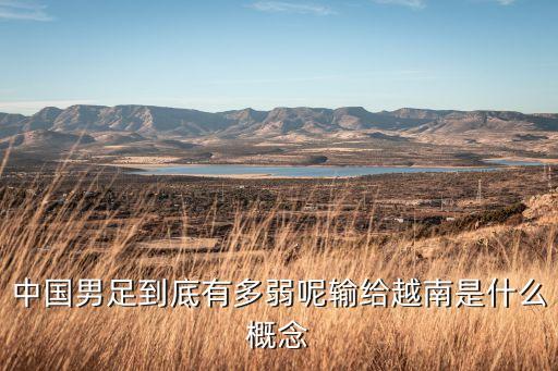 中國(guó)男足到底有多弱呢輸給越南是什么概念