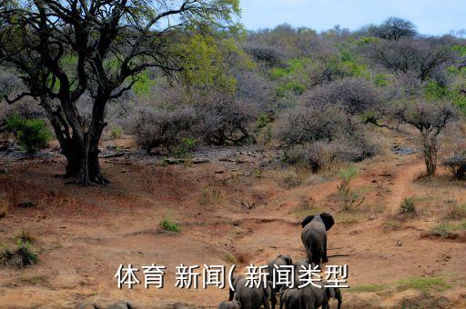 足球俱樂部新聞媒體