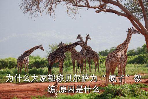 為什么大家都稱貝爾薩為“ 瘋子”教練,原因是什么