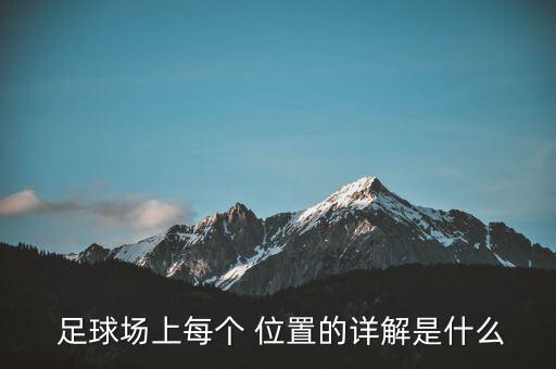  足球場(chǎng)上每個(gè) 位置的詳解是什么