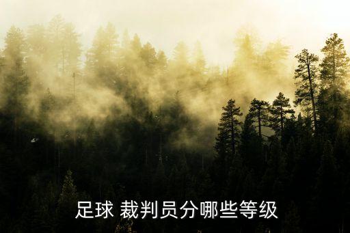  足球 裁判員分哪些等級