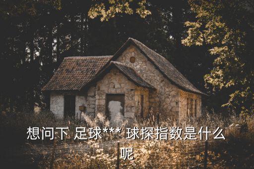 想問(wèn)下 足球*** 球探指數是什么呢