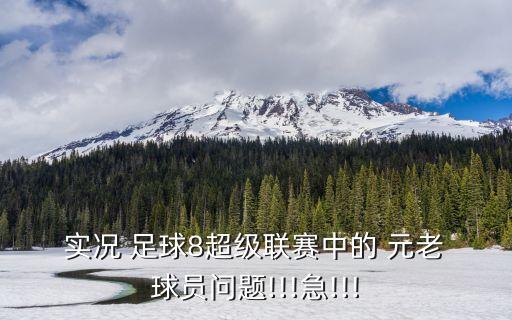  實況 足球8超級聯(lián)賽中的 元老 球員問題!!!急!!!