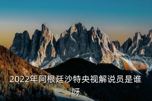 足球解說大話,大話2足球寶寶好嗎
