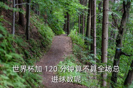世界杯加 120 分鐘算不算全場(chǎng)總進(jìn)球數(shù)呢