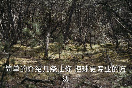 簡(jiǎn)單的介紹幾條讓你 控球更專業(yè)的方法