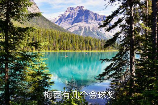 世界足球梅西和貝爾怎么獲得