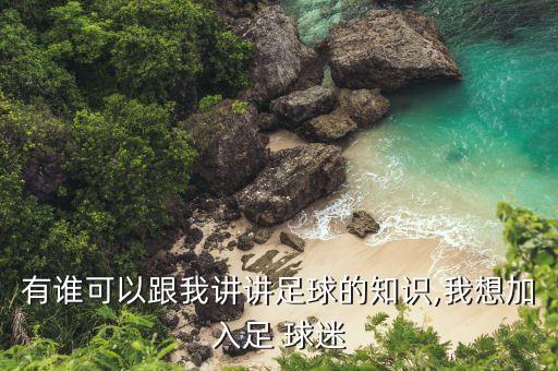 有誰可以跟我講講足球的知識,我想加入足 球迷