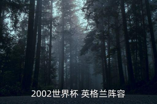 2002世界杯 英格蘭陣容