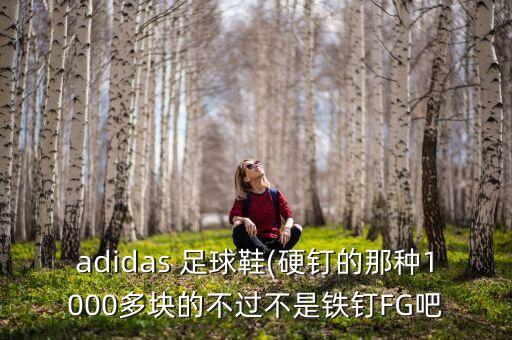 adidas 足球鞋(硬釘?shù)哪欠N1000多塊的不過不是鐵釘FG吧