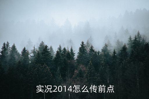 實(shí)況足球2014輔助設置在哪