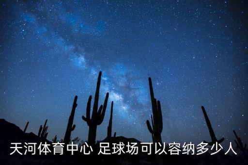 天河體育中心 足球場(chǎng)可以容納多少人